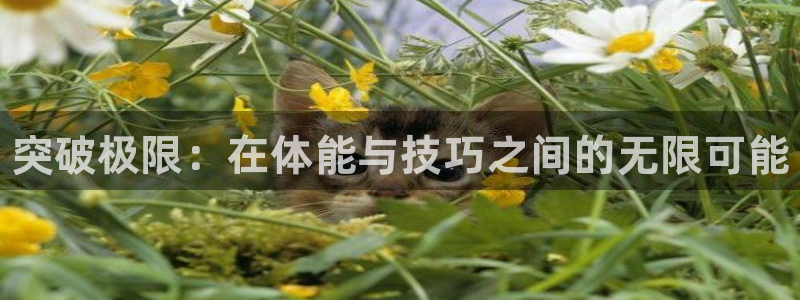 JJB竞技宝官方正版app娱乐40996：突破极限：在体能与