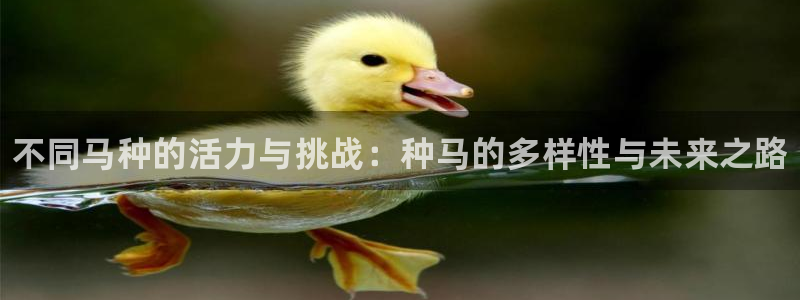 JJB竞技宝官网下载招商电话是多少号码：不同马种的活