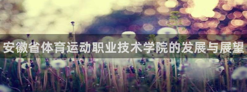 JJB竞技宝官网下载招商电话号码查询是多少：安徽省体