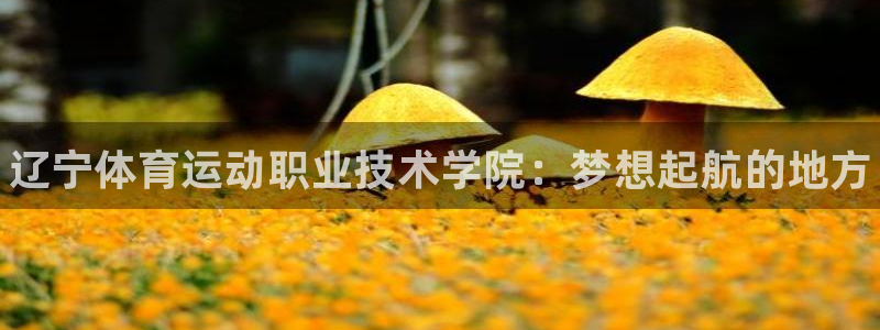 JJB竞技宝官方正版app娱乐：辽宁体育运动职业技术