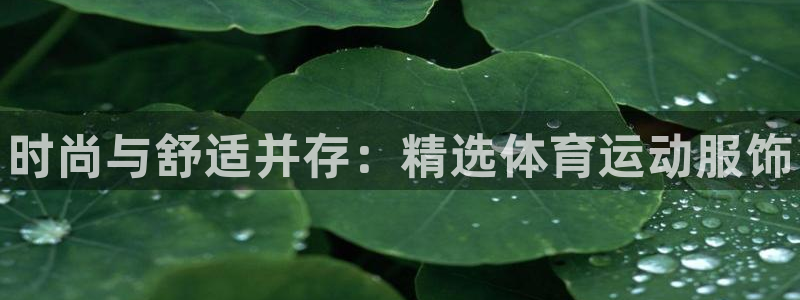JJB竞技宝官方正版app代理：时尚与舒适并存：精选