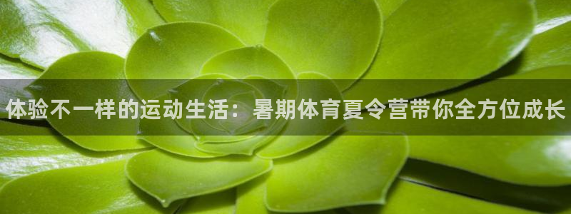 JJB竞技宝官方正版app娱乐是那个系列的台子：体验