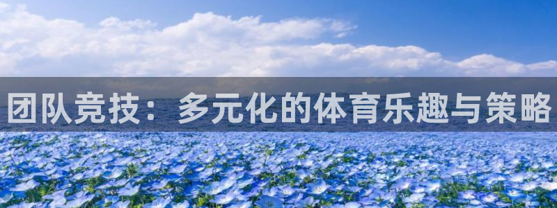 JJB竞技宝官方正版app娱乐是那个系列的台子：团队竞技：多