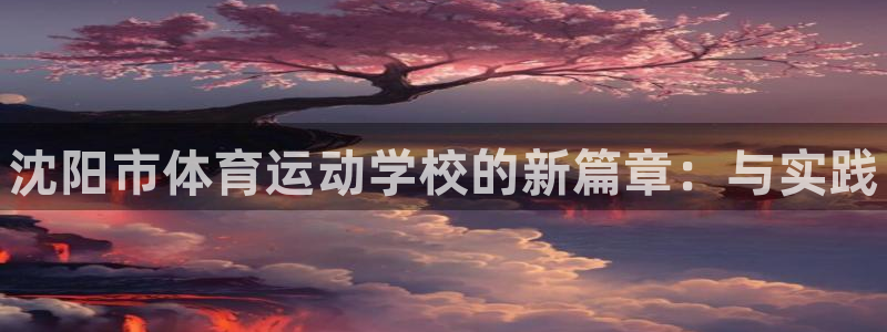 JJB竞技宝官网下载是干嘛的公司：沈阳市体育运动学校的新篇章
