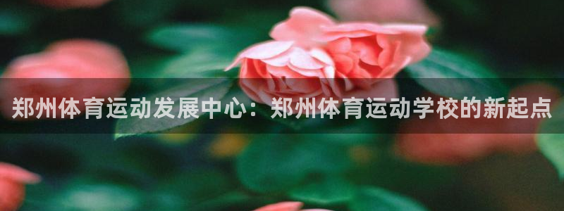 JJB竞技宝官网下载平台注册要钱吗安全吗：郑州体育运