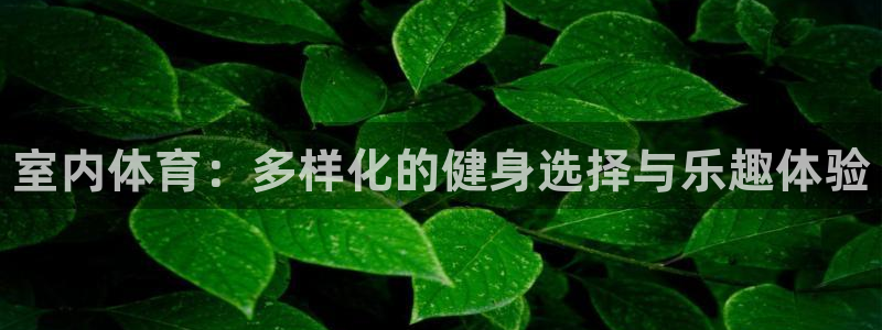 JJB竞技宝官网下载平台注册要钱吗：室内体育：多样化