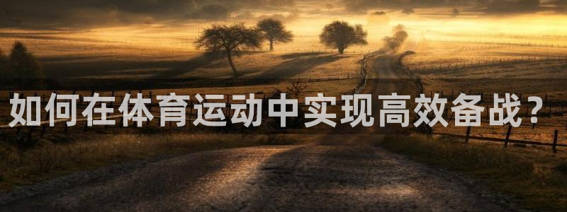 海南JJB竞技宝官网下载：如何在体育运动中实现高效备