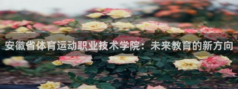 JJB竞技宝官方正版app娱乐：安徽省体育运动职业技