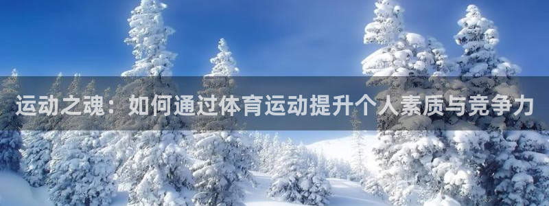 JJB竞技宝官方正版app代理：运动之魂：如何通过体