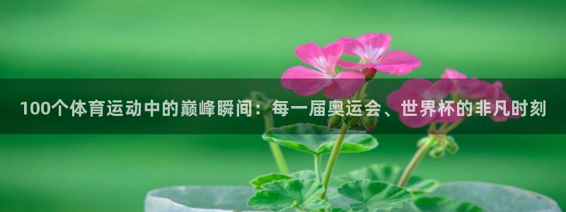 JJB竞技宝官网下载注册：100个体育运动中的巅峰瞬