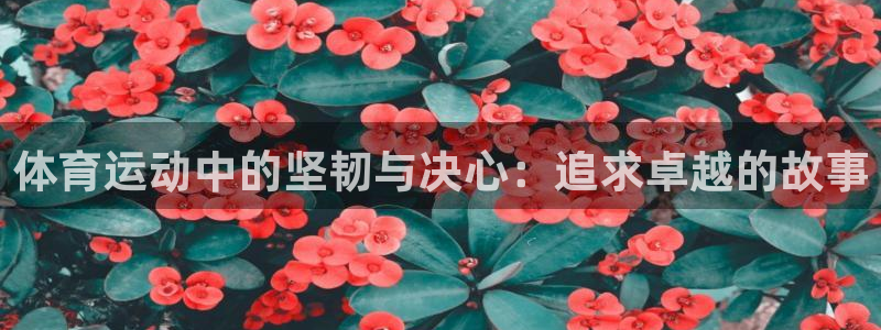 JJB竞技宝官网下载平台假的吗是真的吗吗：体育运动中