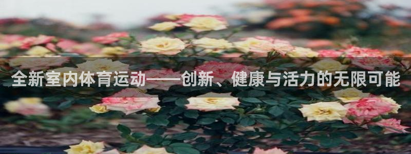 JJB竞技宝官方正版app娱乐首页网站大全：全新室内体育运动